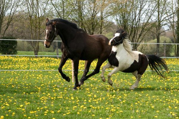 Chambres D'Hotes Mauvierges Segre ภายนอก รูปภาพ